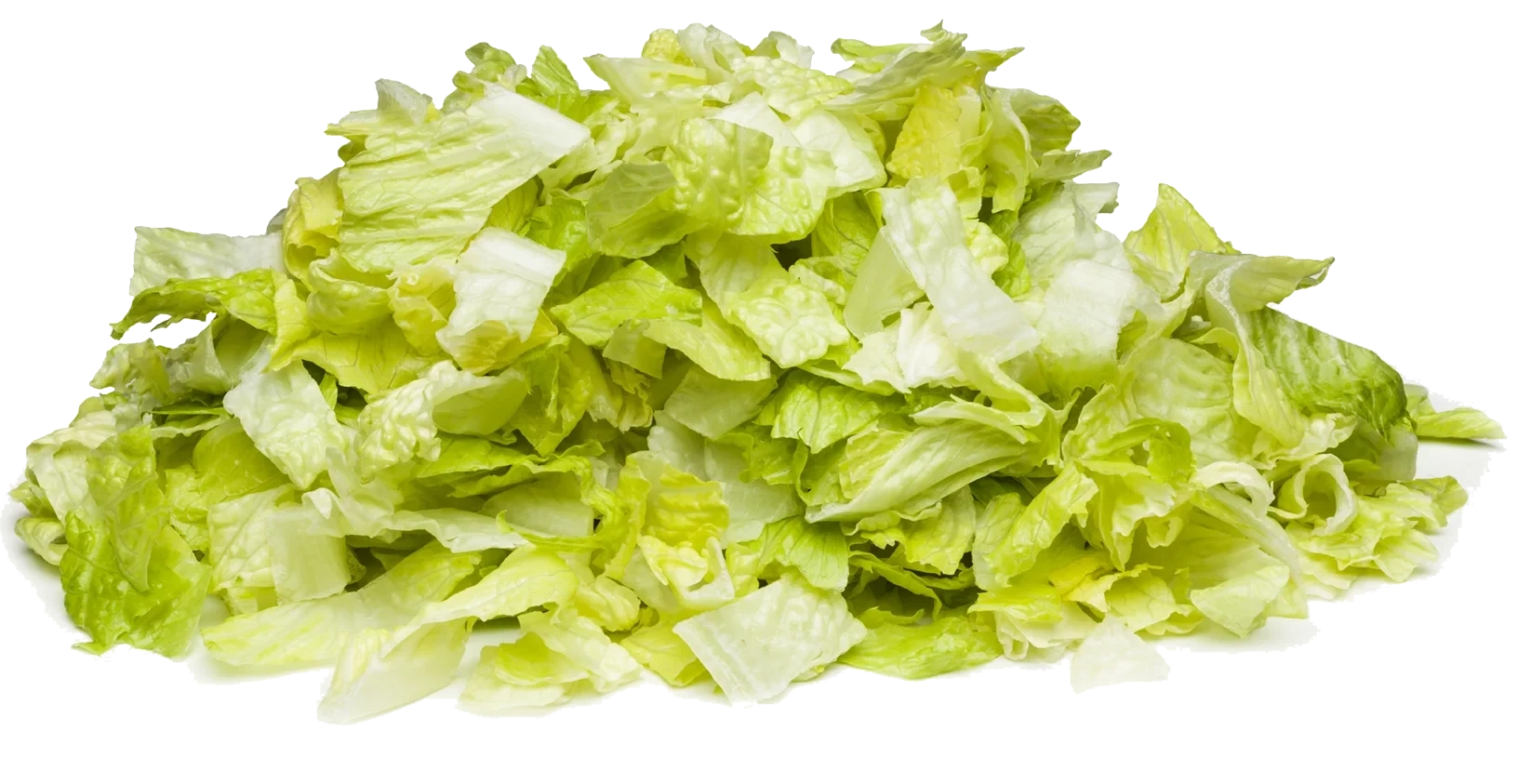 FS Isbergsallad skuren