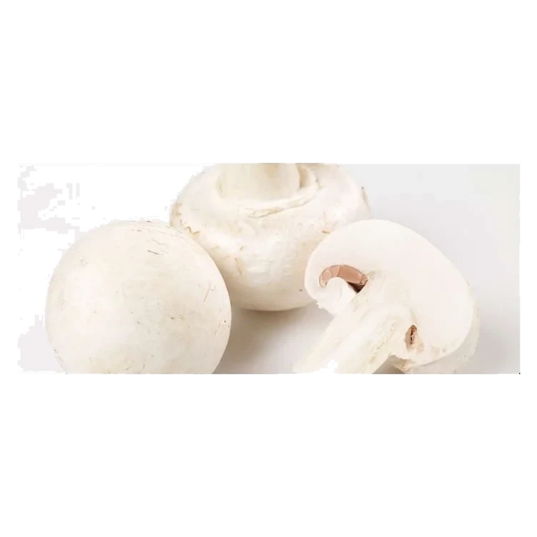 Sopp champignon økol.    kg