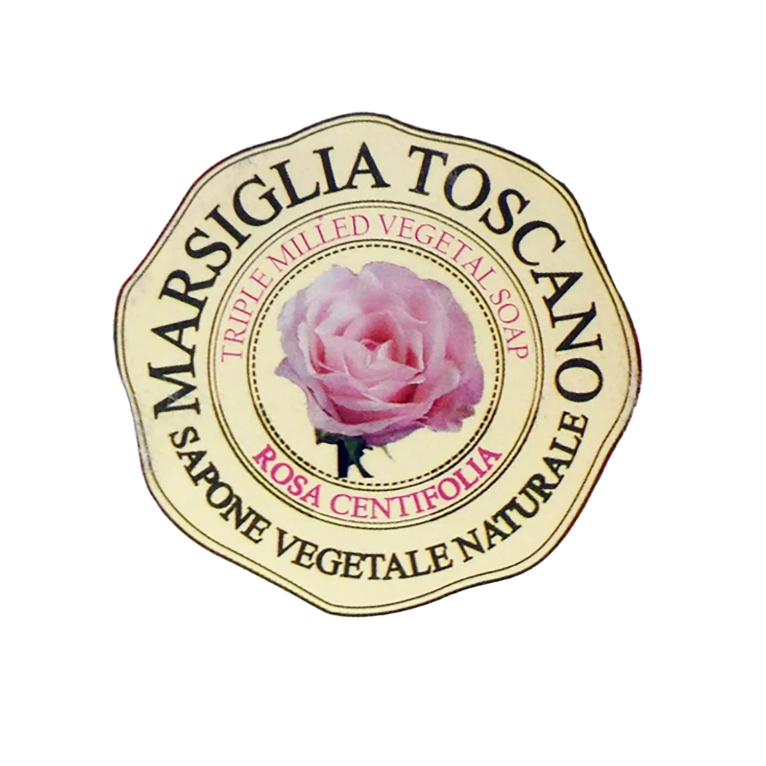 Nesti Dante Marsiglia Toscano Rosa Centifolia