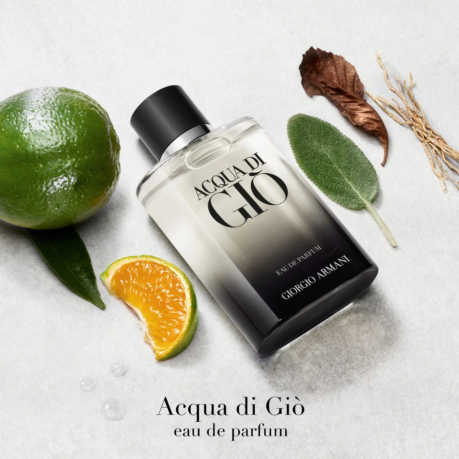Armani Acqua di Giò