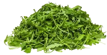 FS Rucola