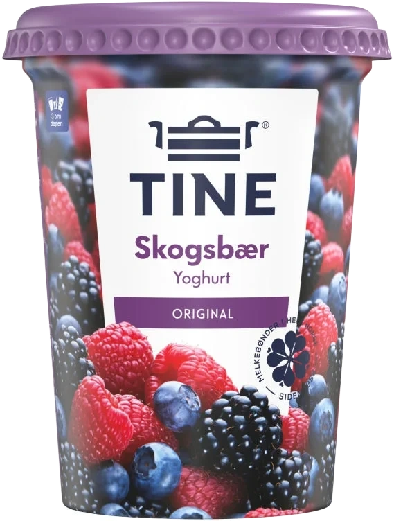 Yoghurt skogsbær 500g