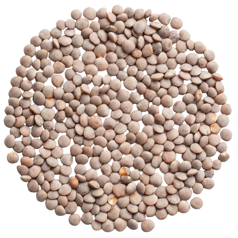 Nordisk Råvara Korallins Rosana