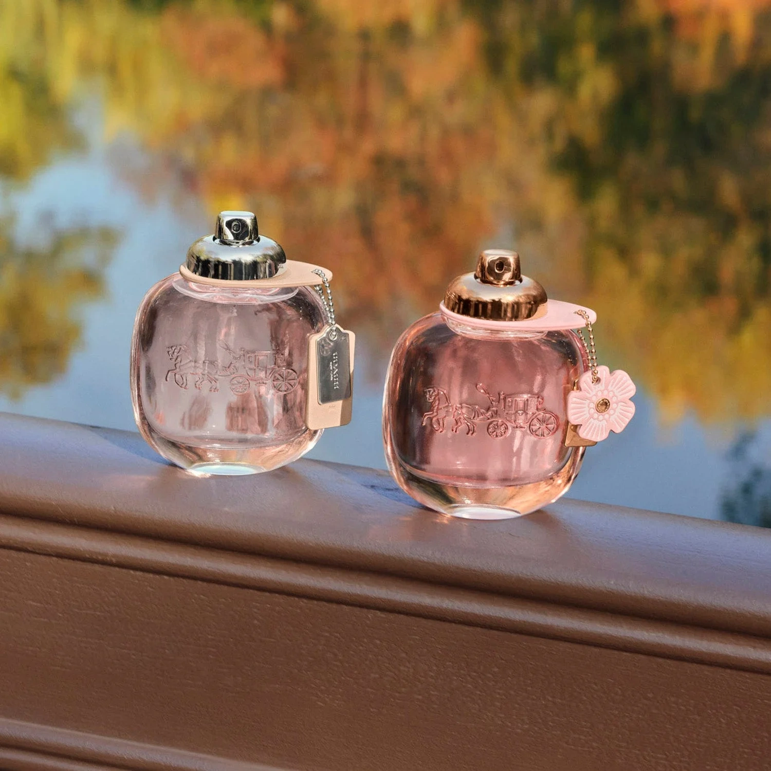Coach Eau de Toilette 30 ml