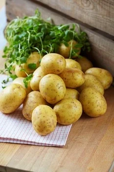 Potatis medel tvät