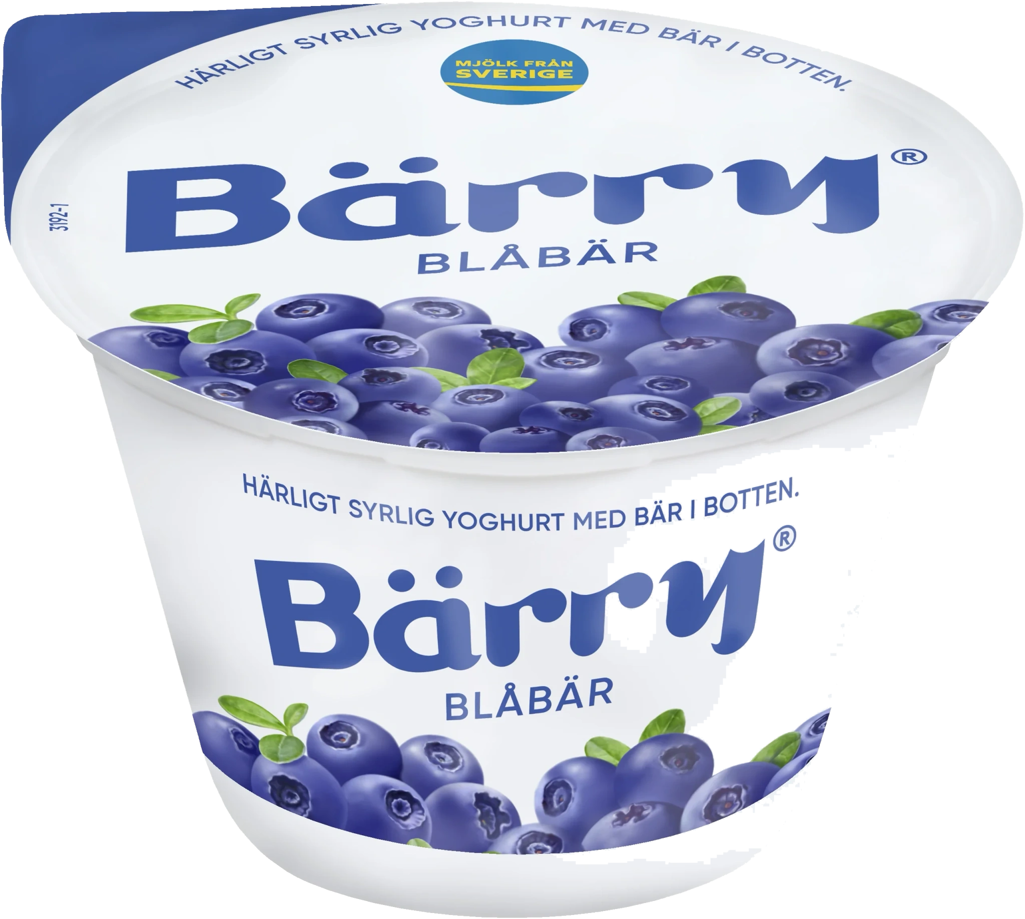 Blåbär