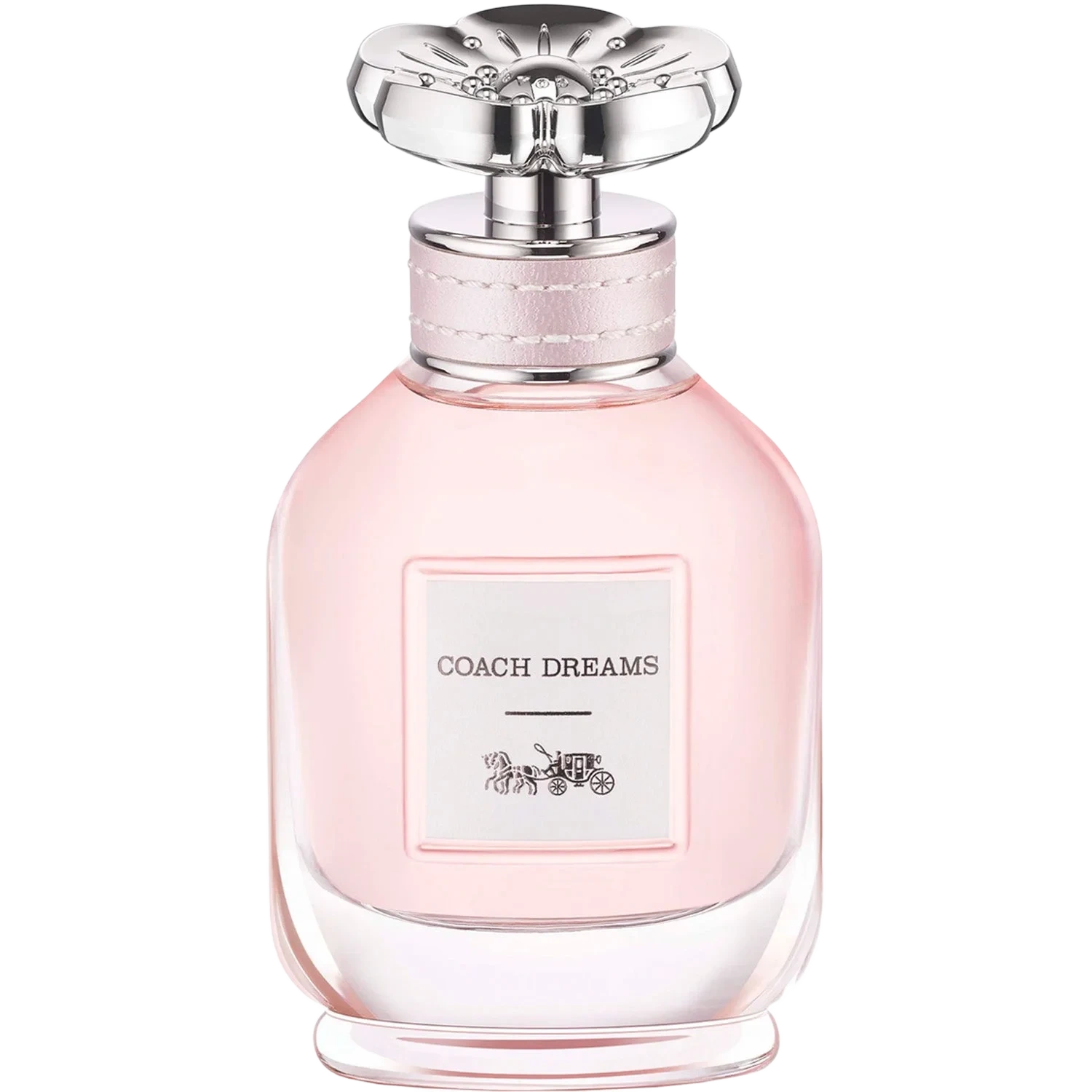 COACH Dreams