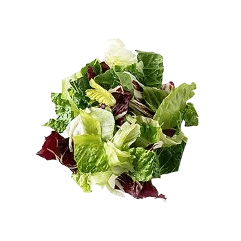 Bistrosallad 1kg