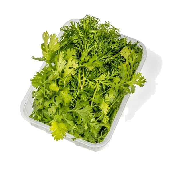 Koriander Norsk 100g