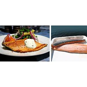 Røyefilet m/Skinn 4,5kg Feldts