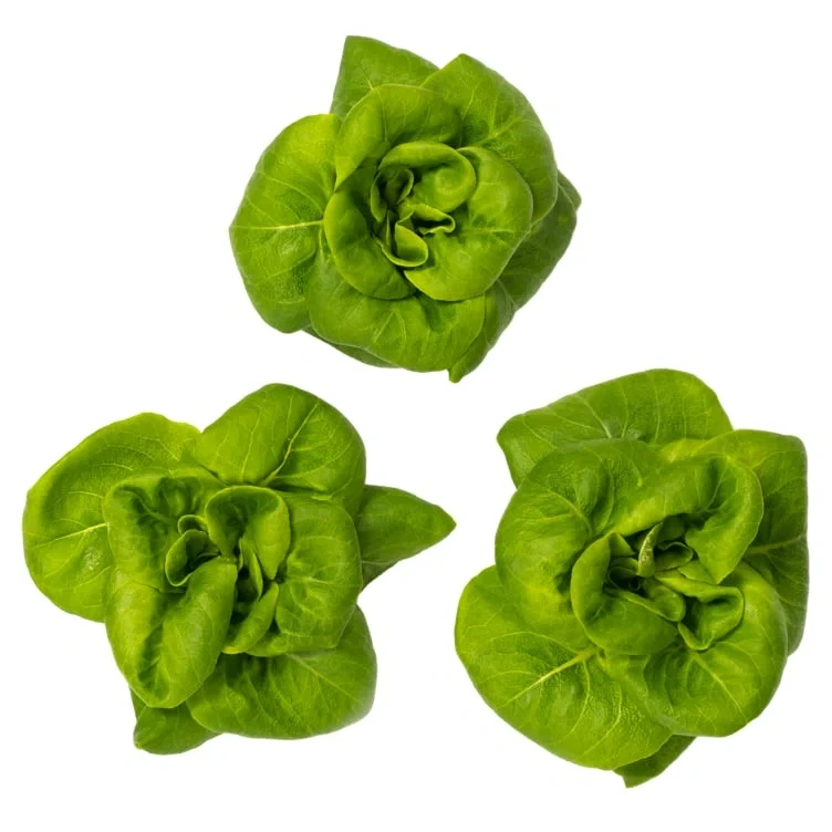 Baby Butter Løsvekt Spiseklar Salat 1.3kg Onna