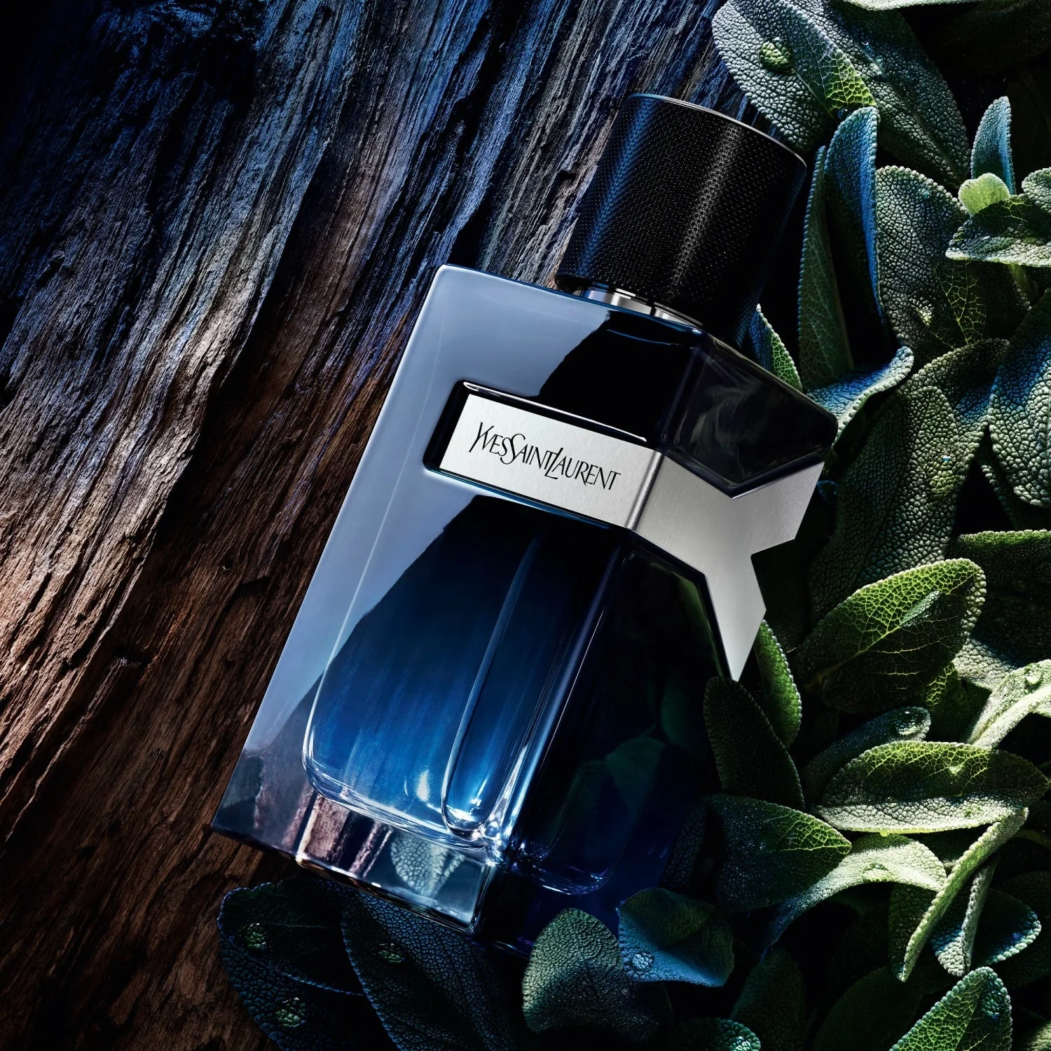 Yves Saint Laurent Y