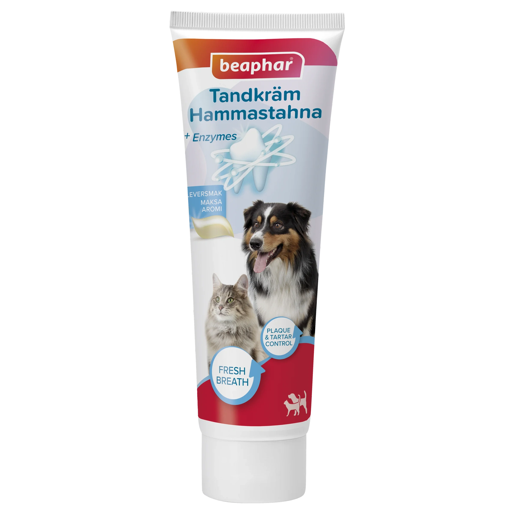 Tandkräm
