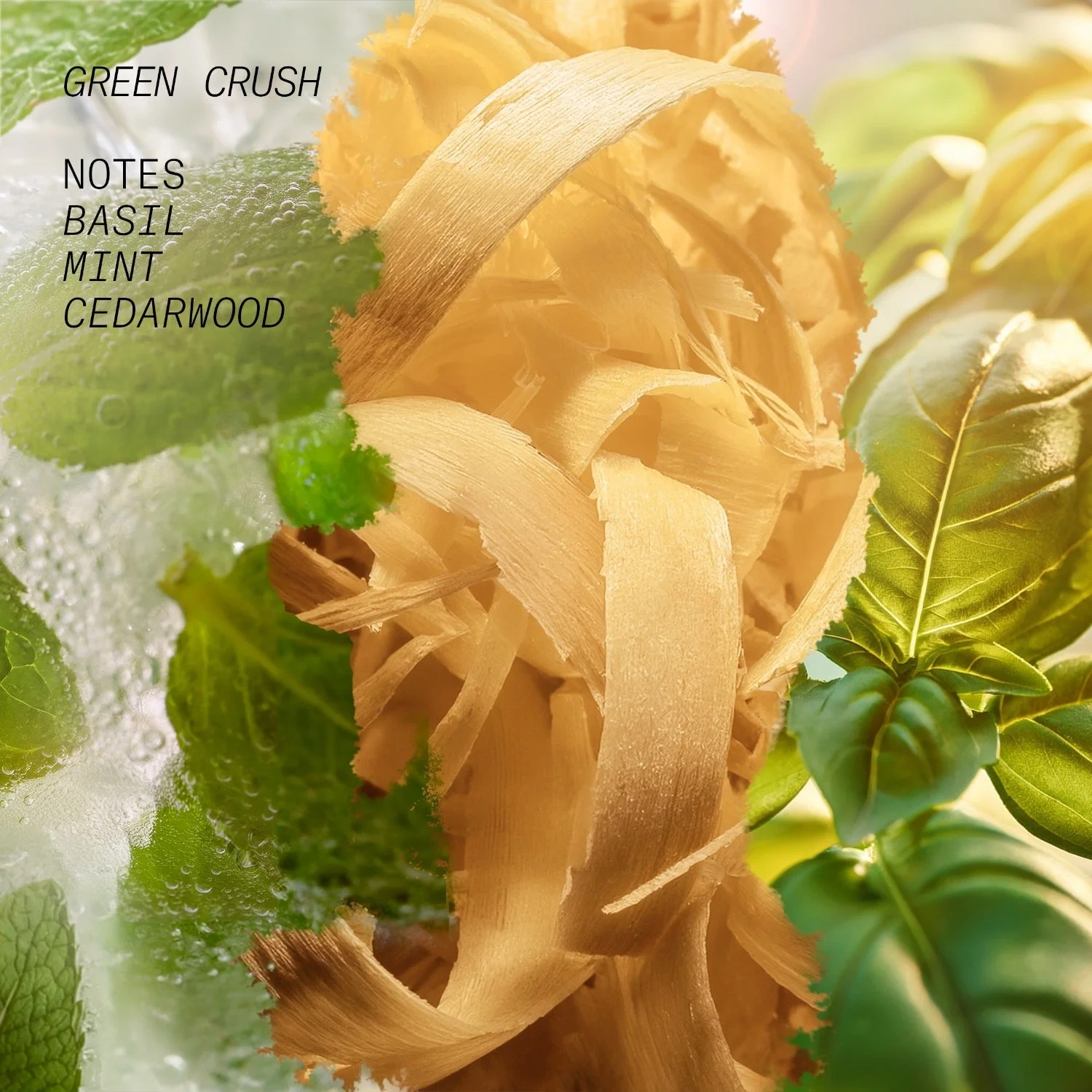 Látelier Parfum GREEN CRUSH
