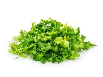Bama FS Frisée