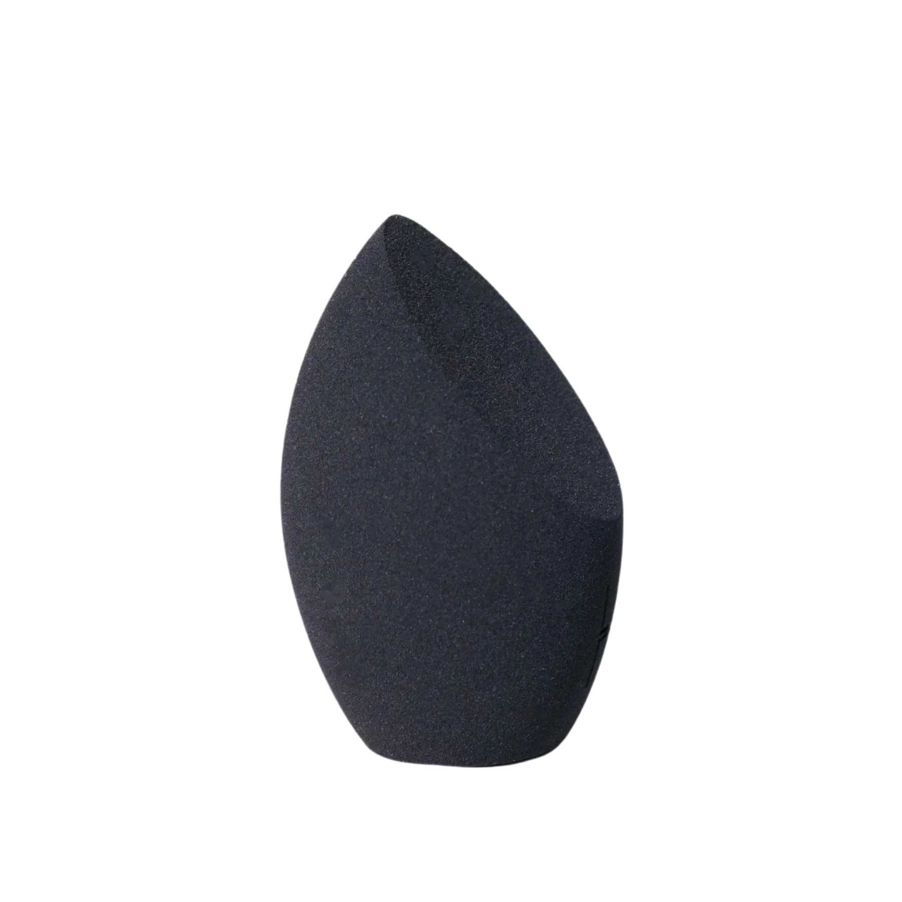 LH cosmetics The Other Sponge Black