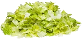 FS Isbergsallad skuren