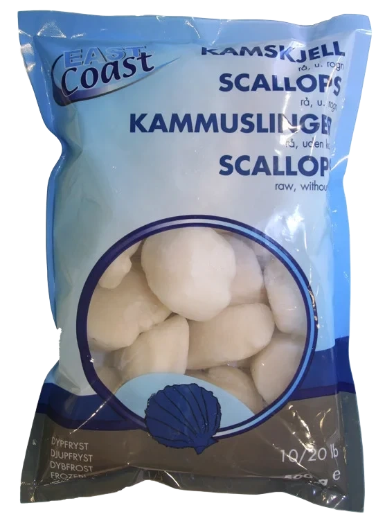 Kamskjell 10/20
