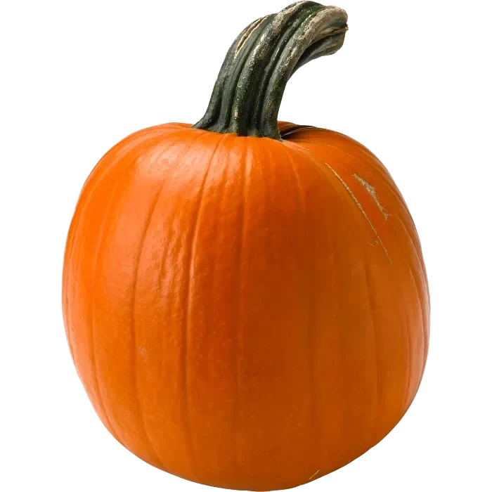 ICA Pumpa 1-3 kg Klass 1 ICA