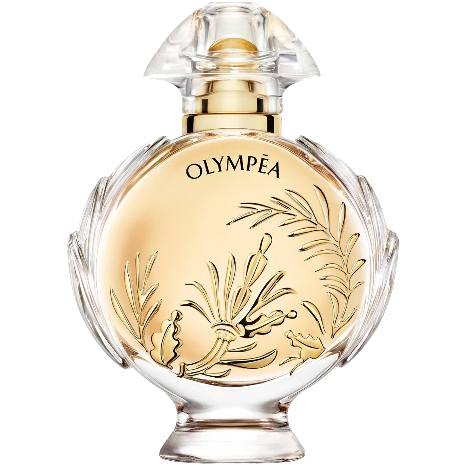 RABANNE Olympea Solar
