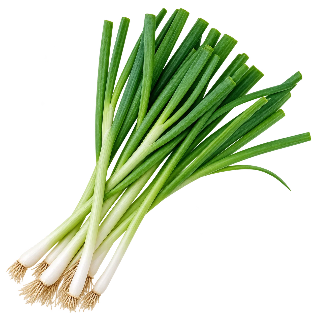 Vårløk Spring Onion 80g