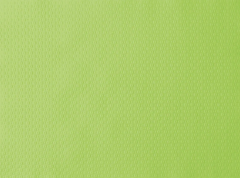 Papier-Tischset Kiwi