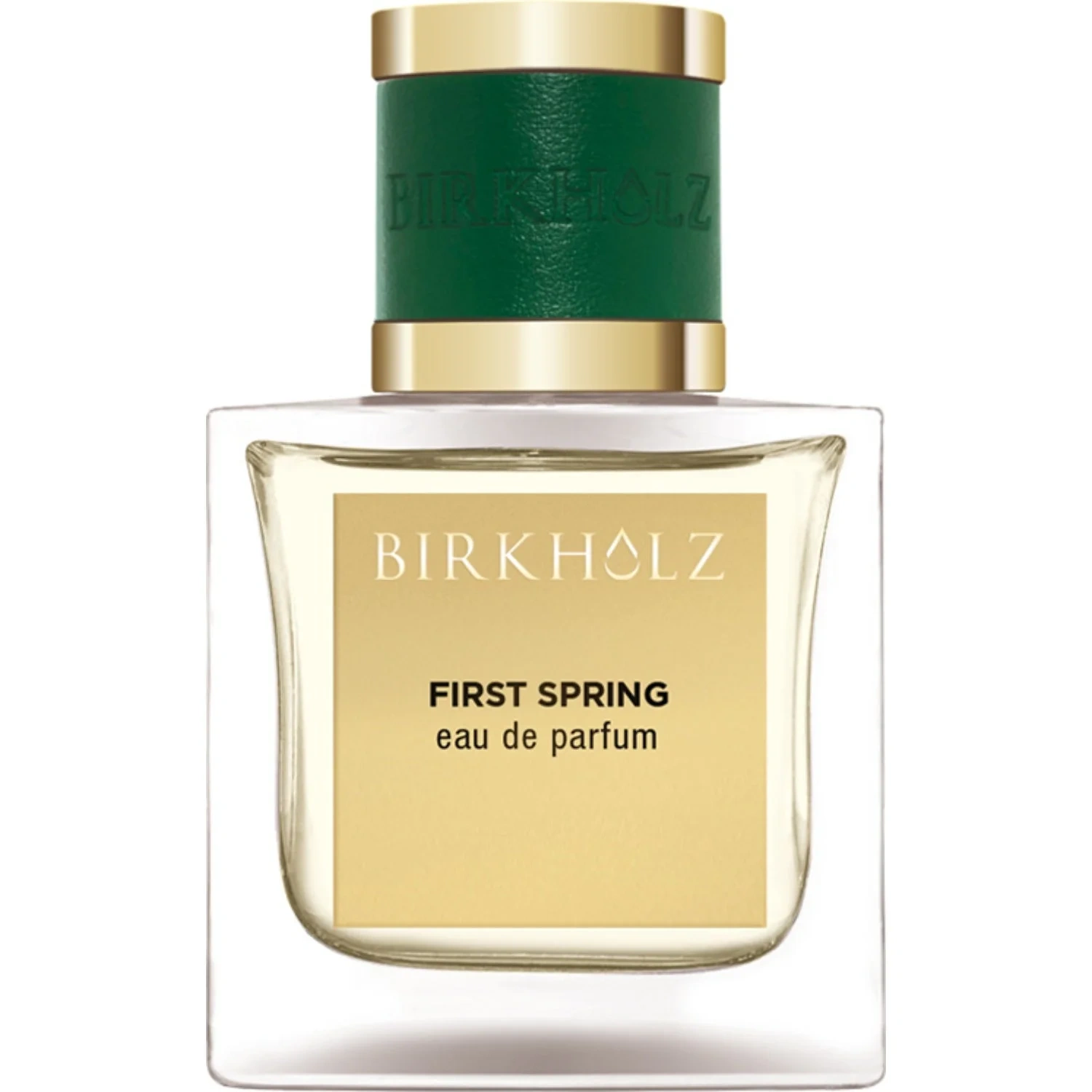 Birkholz First Spring