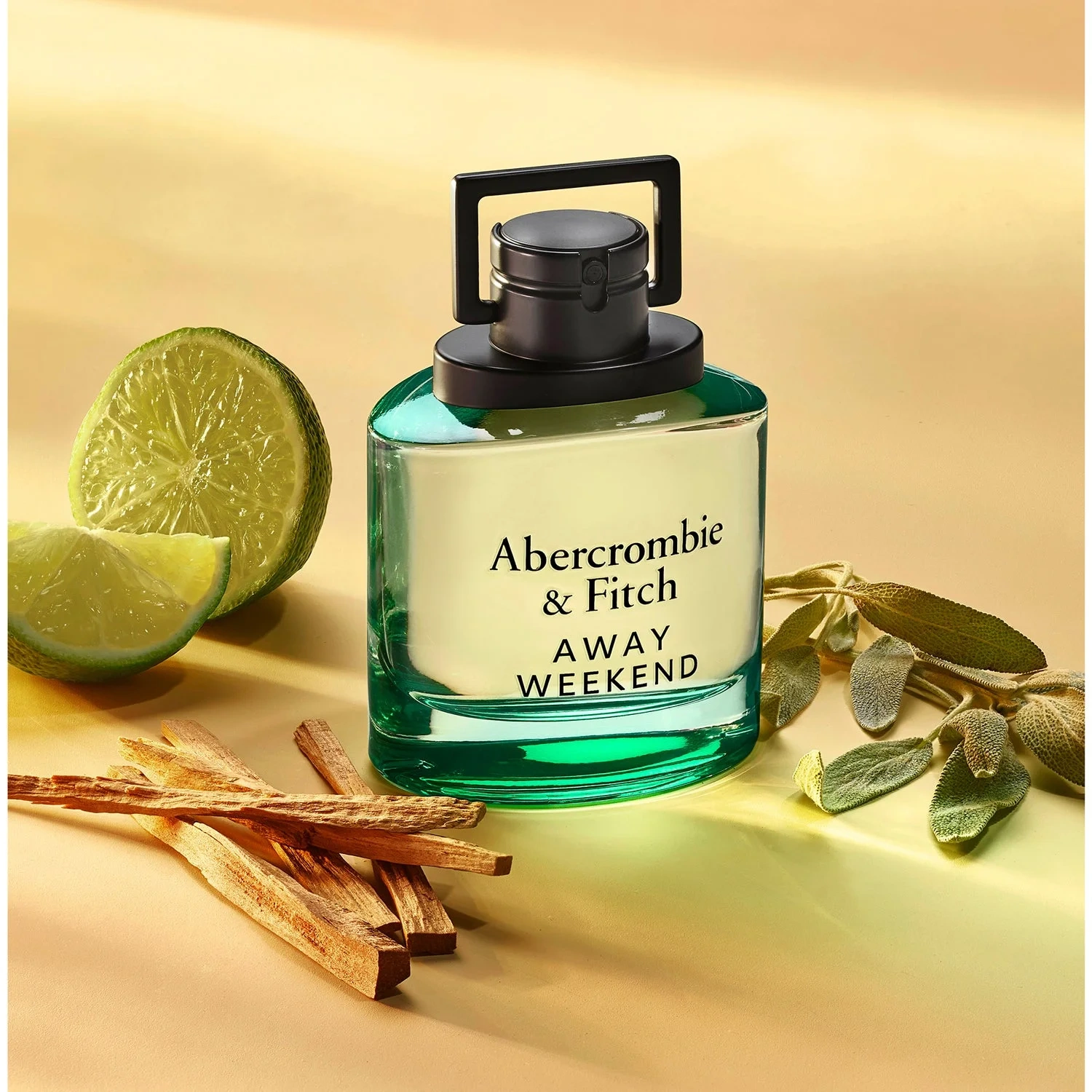 Abercrombie & Fitch Away Weekend Man