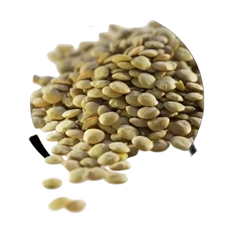 Grønne linser 400g