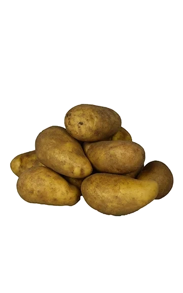 Mjölig lösvikt