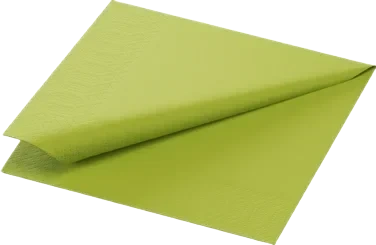 Serv.3l 24cm Kiwi