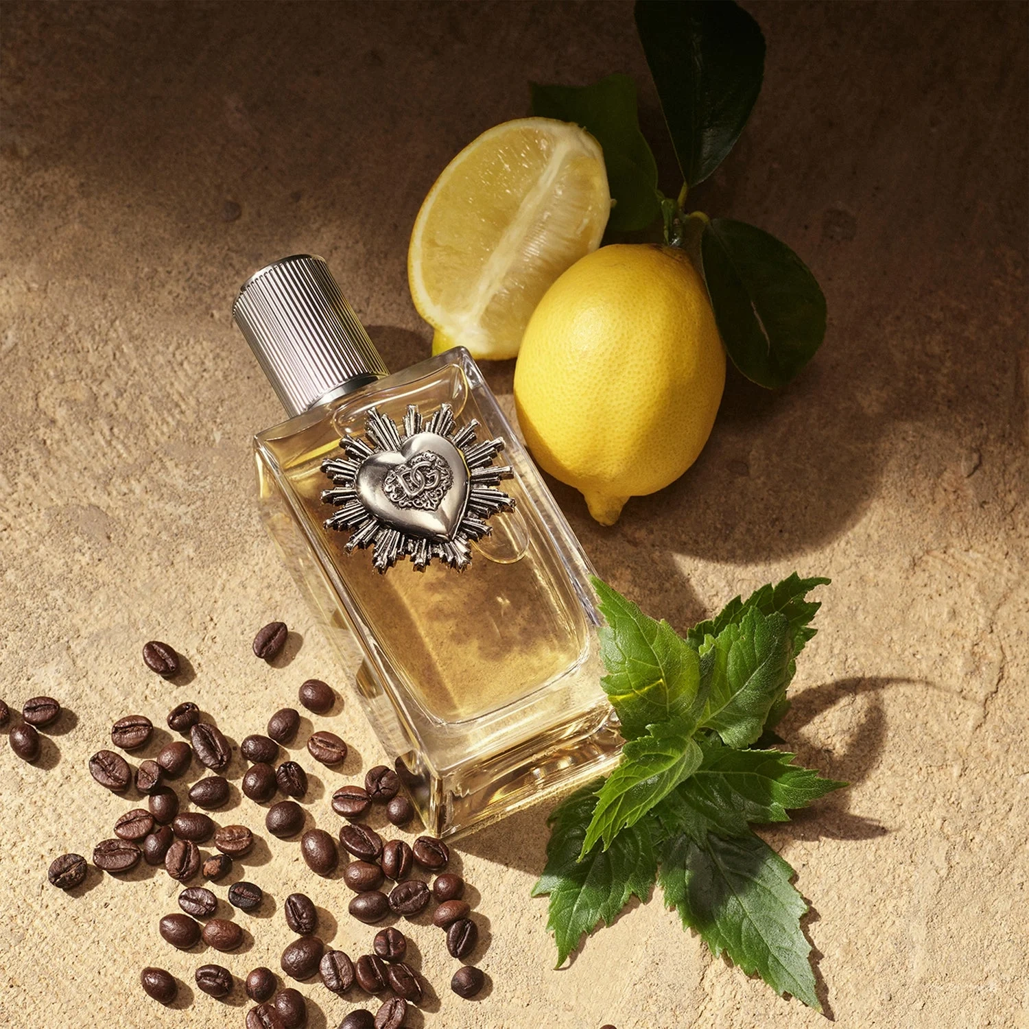 Dolce & Gabbana Devotion Pour Homme Eau de Parfum 100 ml