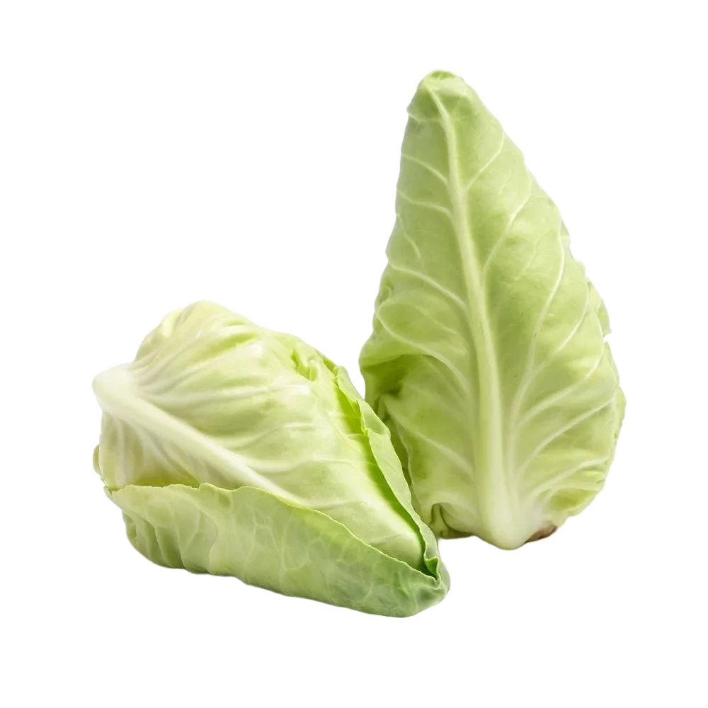 Spetskål Mini Klass1