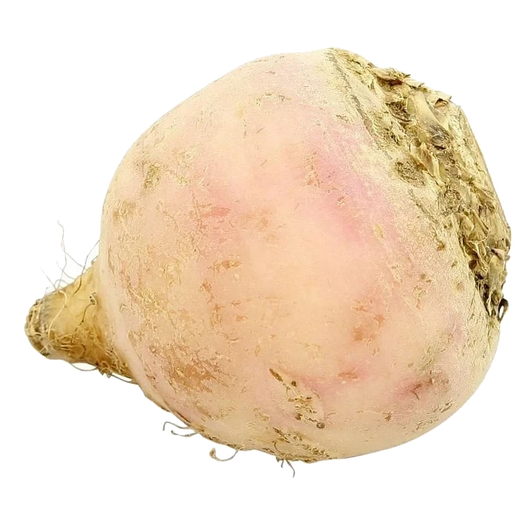 Hvitbeter norsk   kg