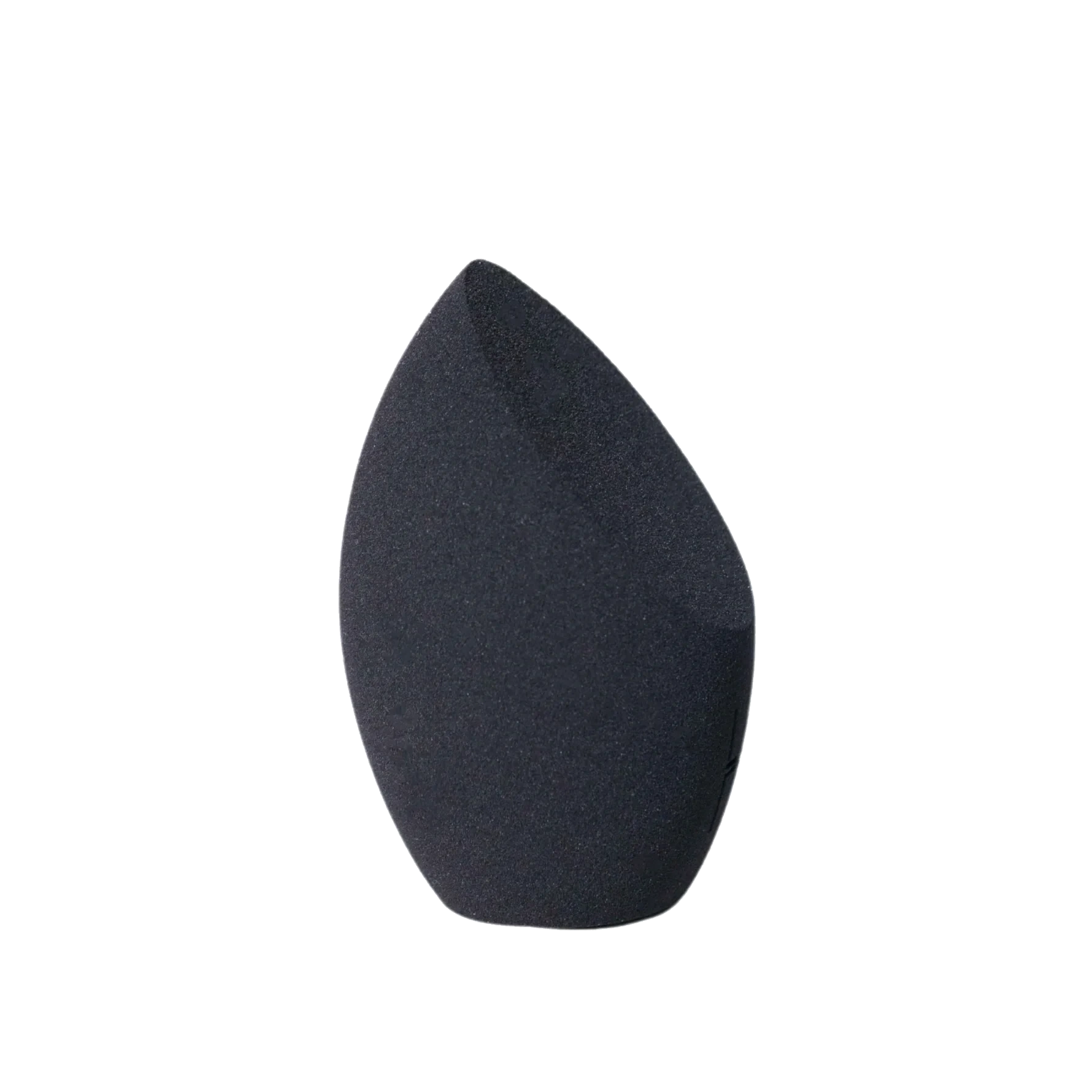 LH cosmetics The Other Sponge Black