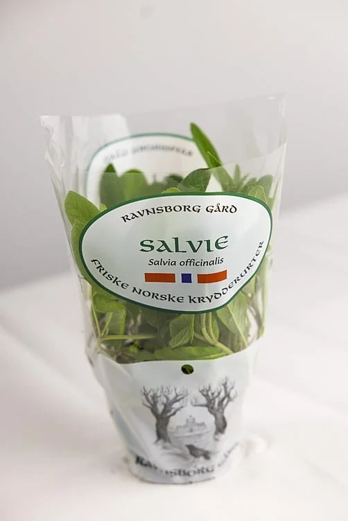 Salvie  ø12cm standard   potte