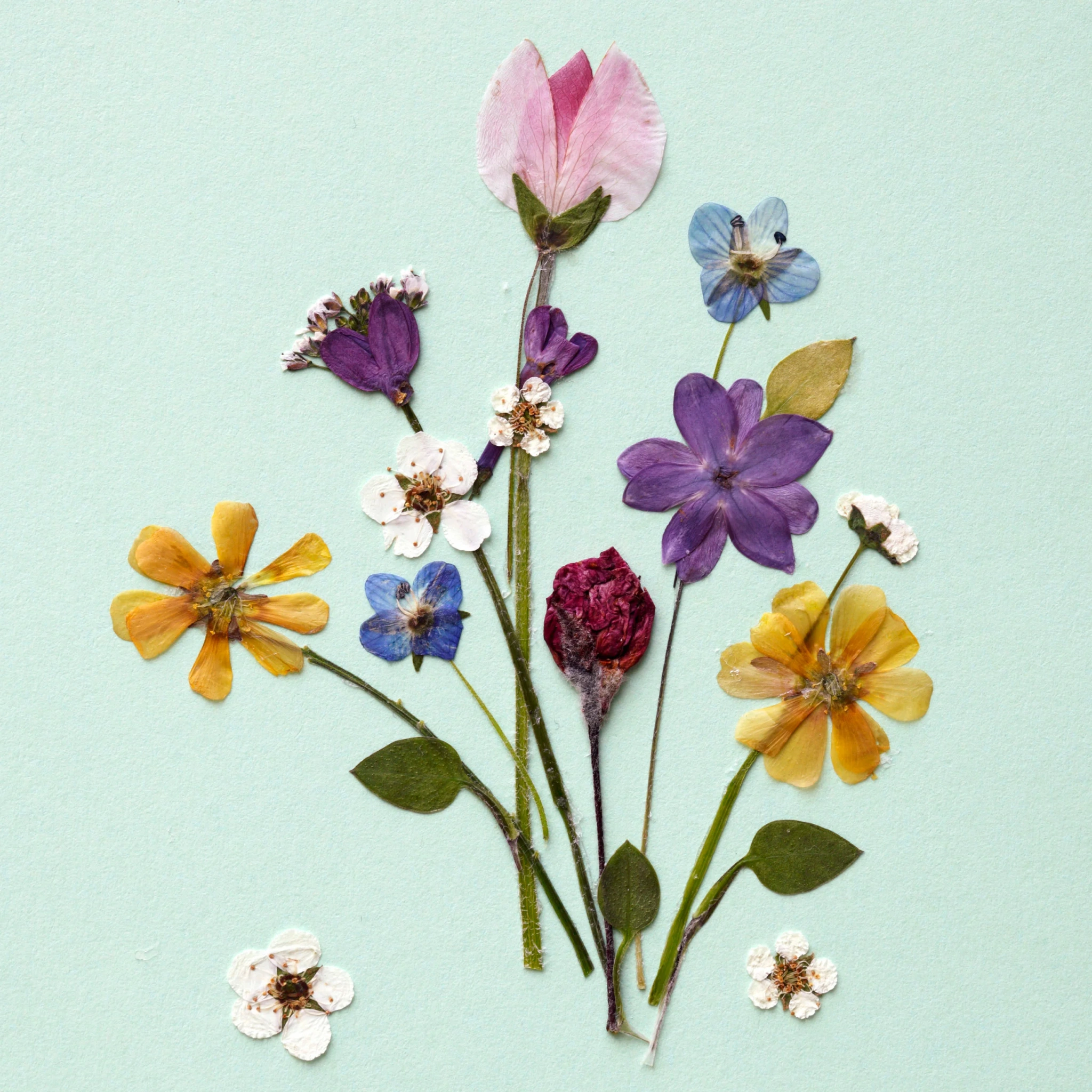 Tissue-Serviette Bunches