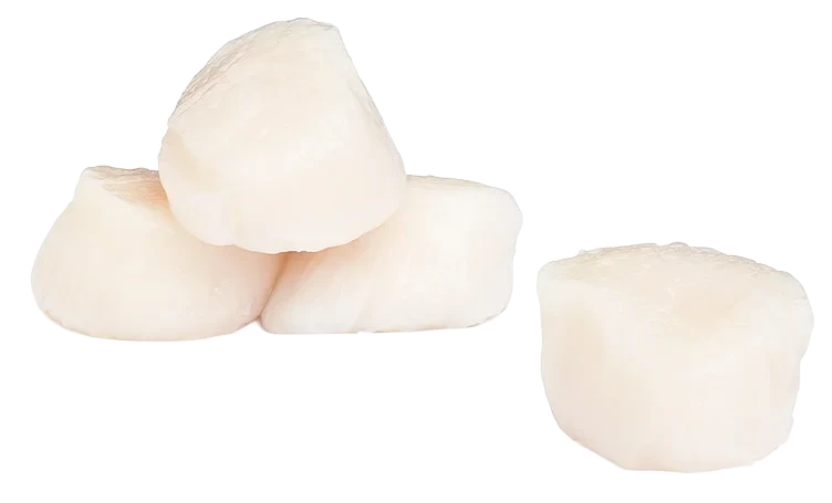 Kamskjell 10/20 20% Glaze, 1kg