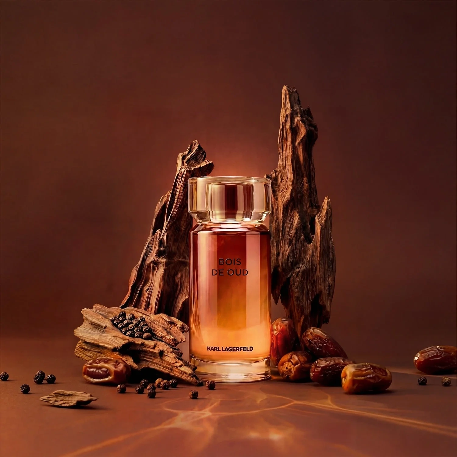 Karl Lagerfeld Les Parfums Matières Bois de Oud