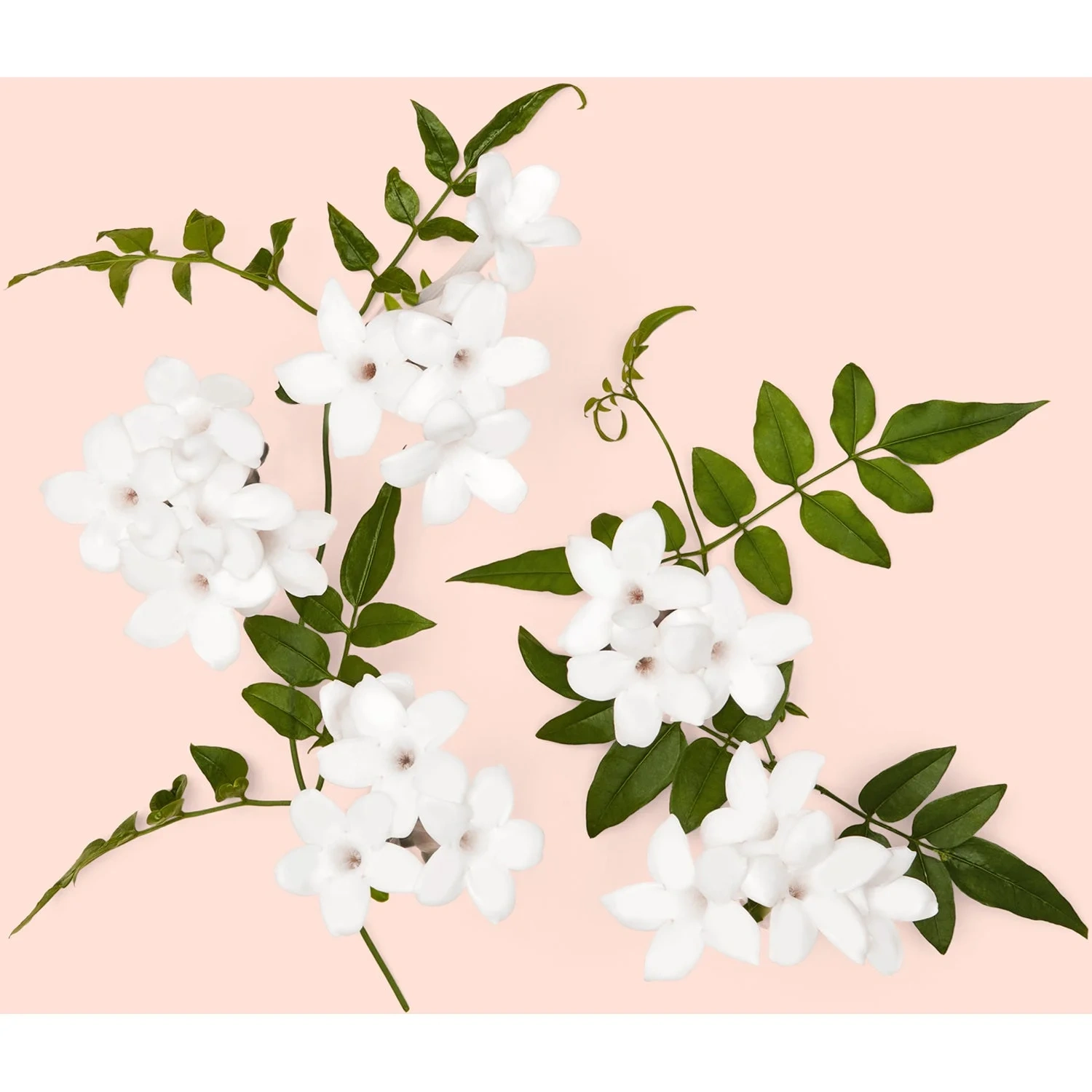 Gucci Bloom Eau de Parfum Intense 30 ml