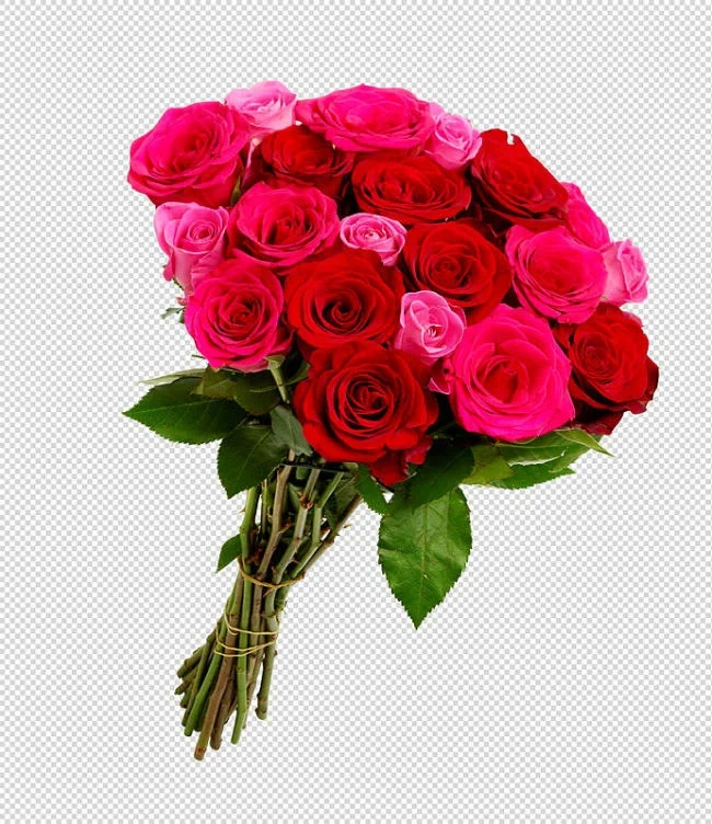 Roser Mix 16pk 45cm