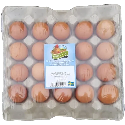 Bruna Ägg 20p Frigående Inomhus M/l