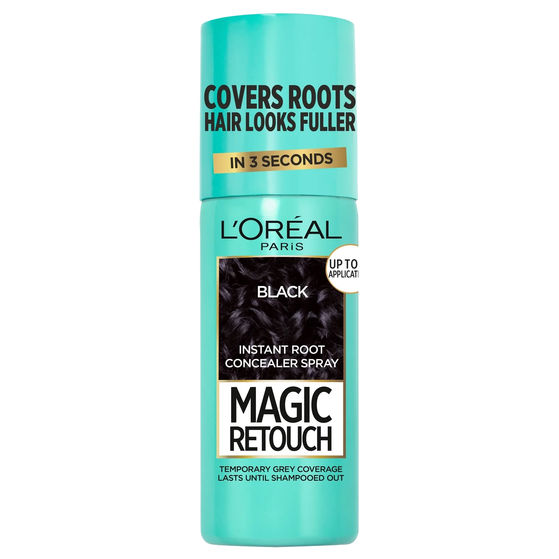 L'Oréal Paris Magic Retouch Direct Color Black