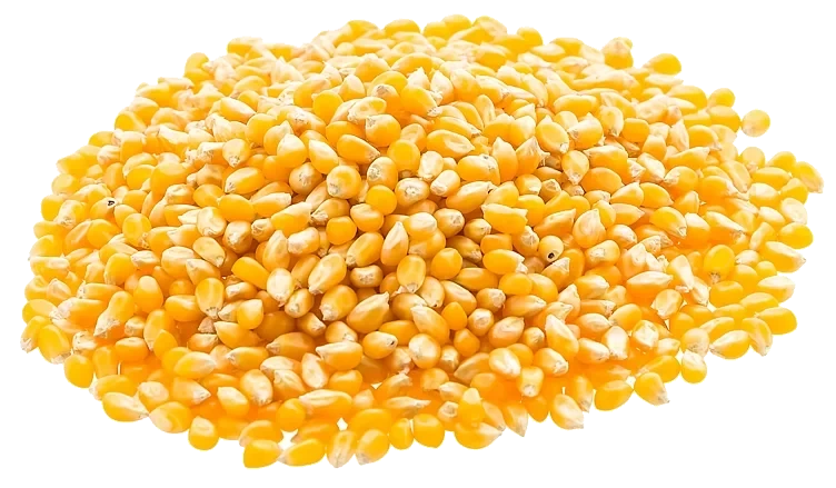 Popcornmais butterfly 46  10kg