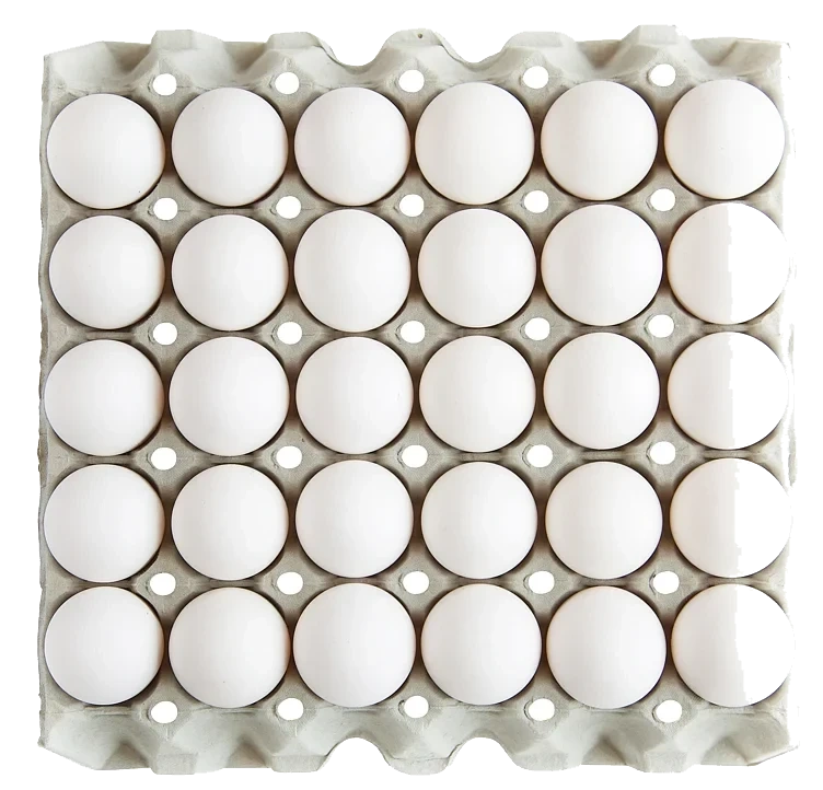 Egg l fra frittgående høner  30stk