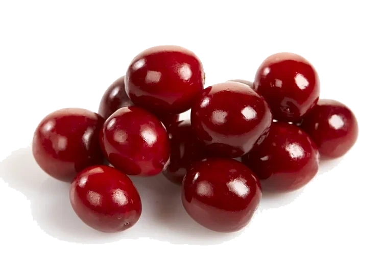 Tranebær tørket   500g