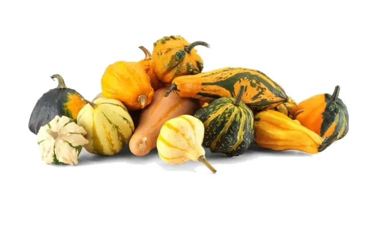 Pyntegresskar pr Kg