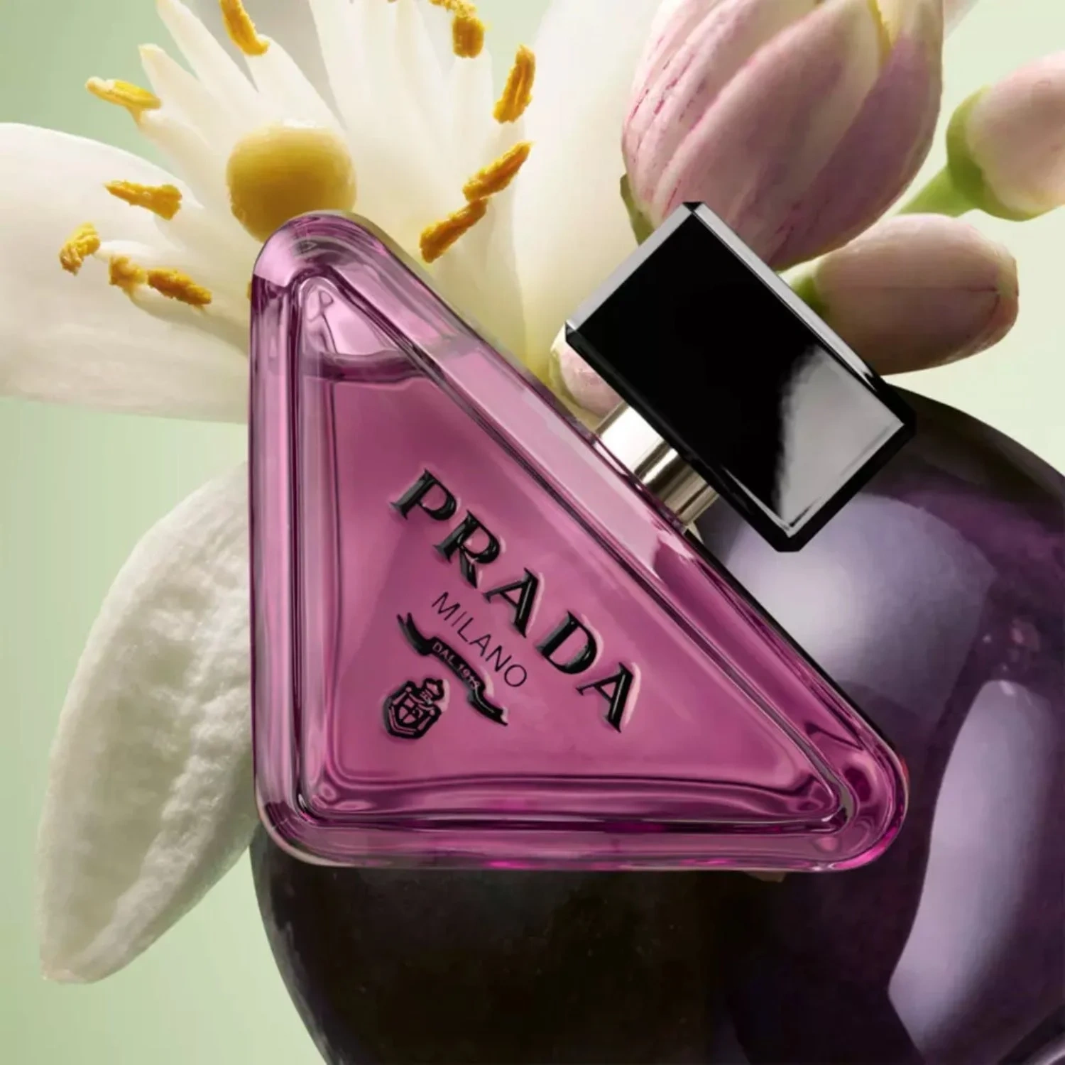 Prada Paradoxe Sweet Chemistry
