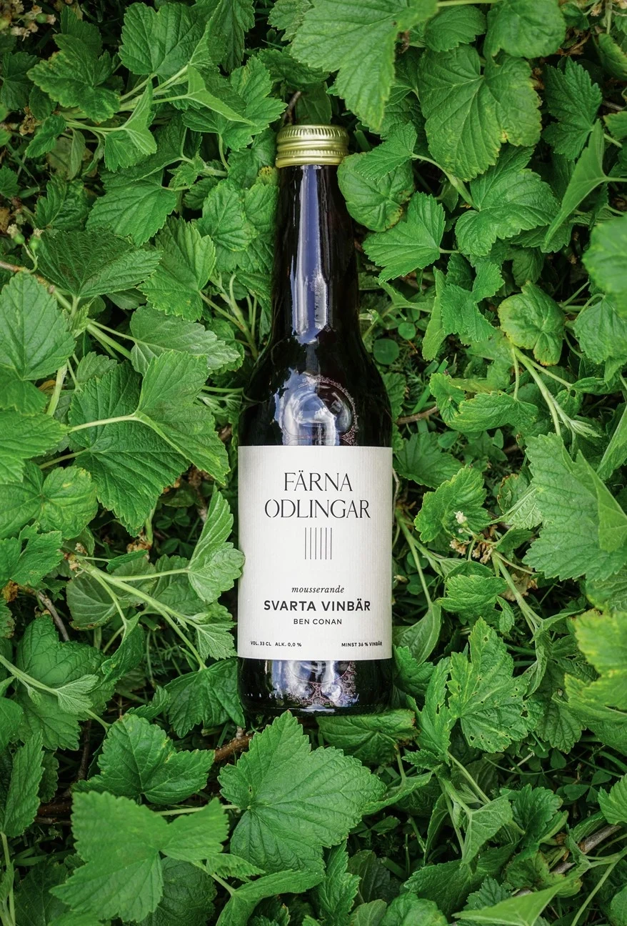Mousserande Svarta vinbär bärdryck