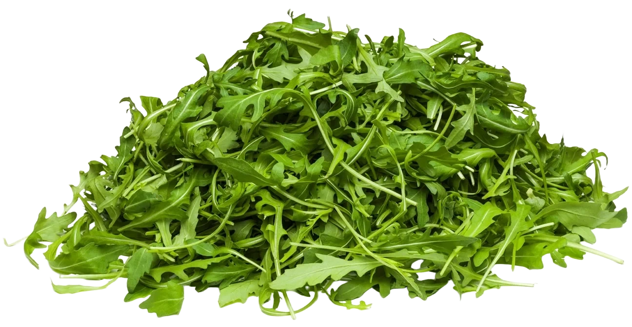 FS Rucola